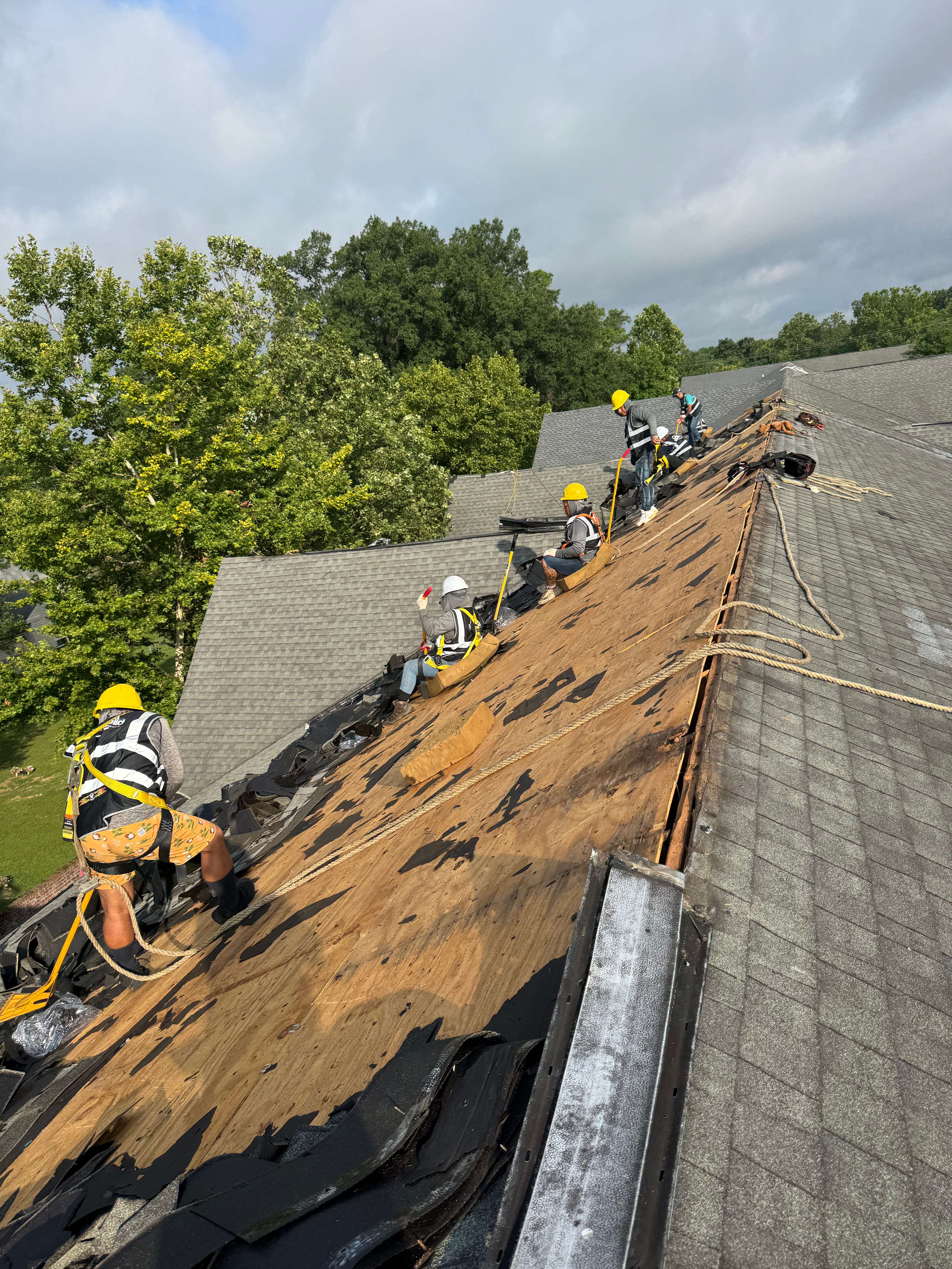 Storm King Roofing crew installing a new roof in Dedham, Massachusetts